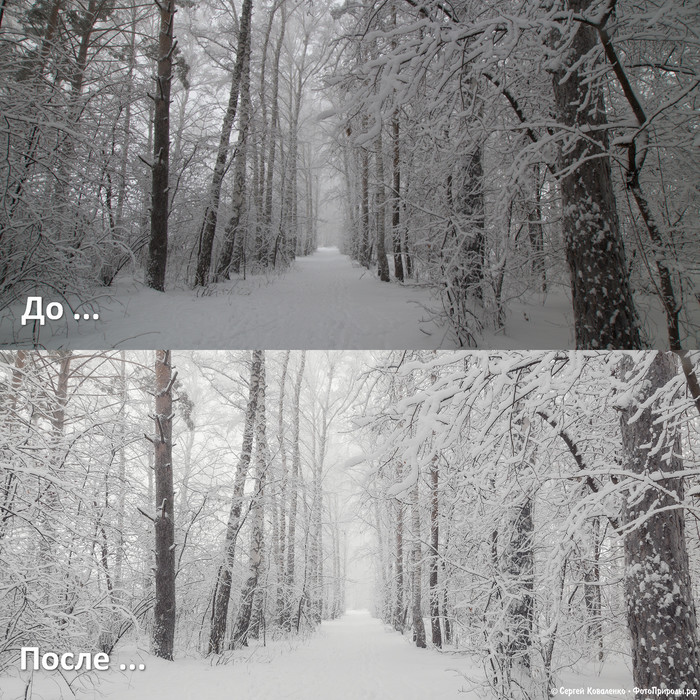 До-После: «Зимняя природа - фото №110»