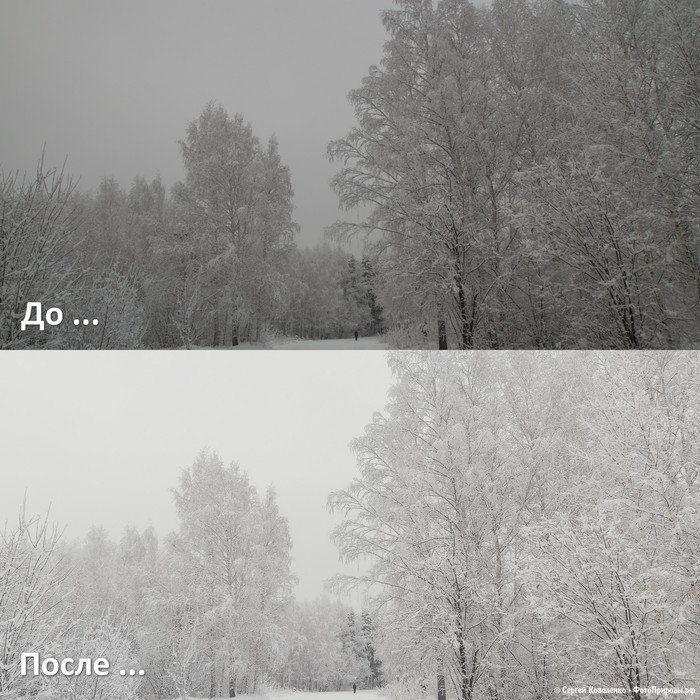 До-После: «Зимняя природа - фото №120»