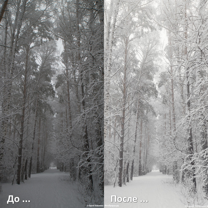 До-После: «Зимняя природа - фото №109»