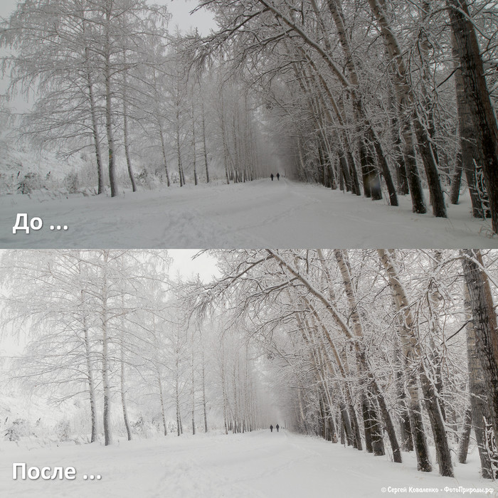 До-После: Зимняя природа - фото №123