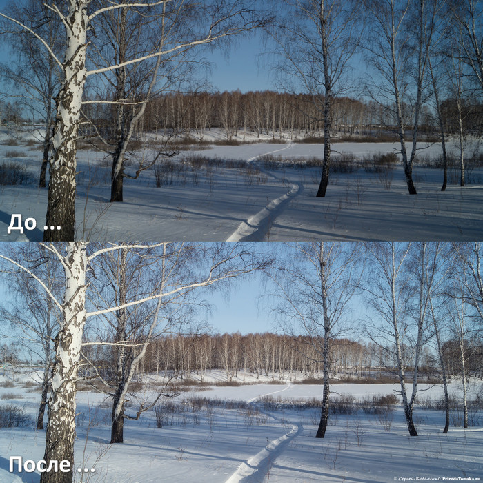 До-После: «Берёзовый лес зимой»