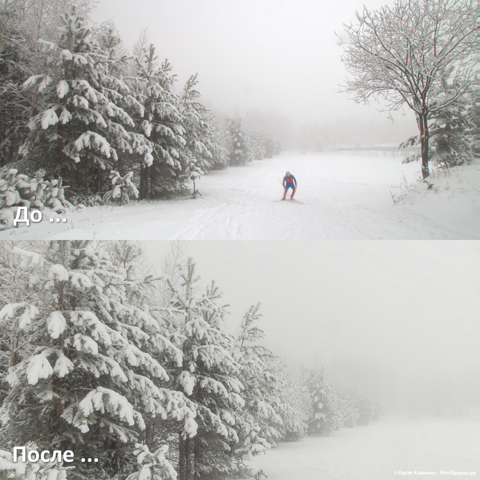 До-После: «Зимняя природа - фото №117»