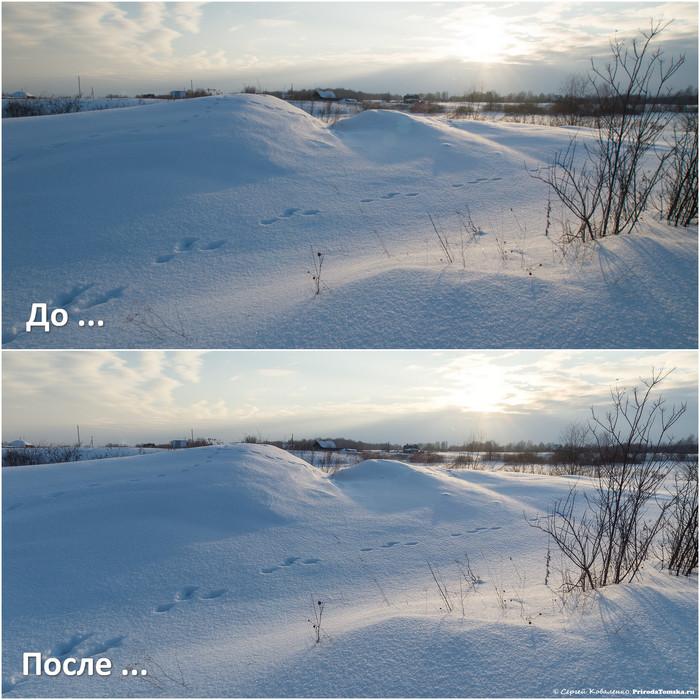 До-После: «Заячьи следы на снегу в лучах Солнца»