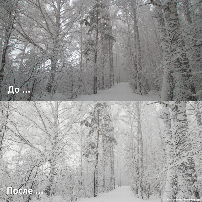 До-После: «Зимняя природа - фото №111»