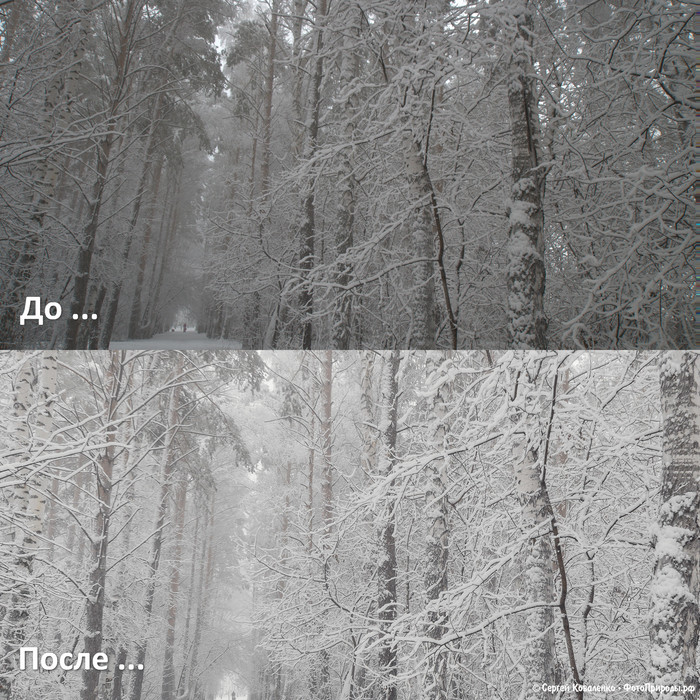 До-После: «Зимняя природа - фото №113»
