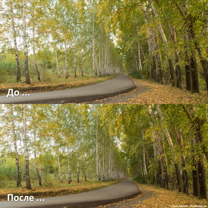 До-После: «Осенняя природа - фото №83»