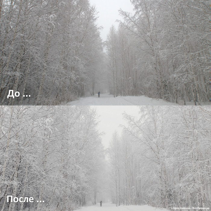 До-После: «Зимняя природа - фото №118»