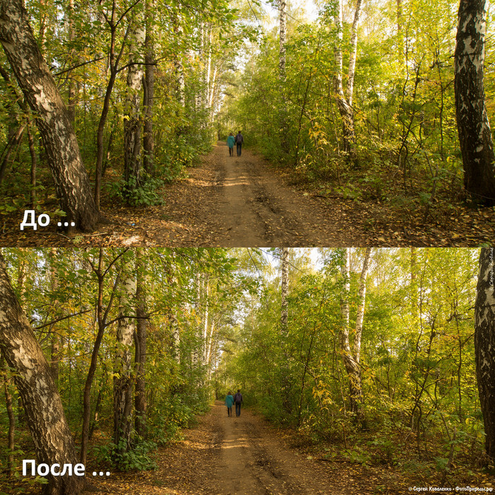 До-После: «Осенняя природа - фото №82»