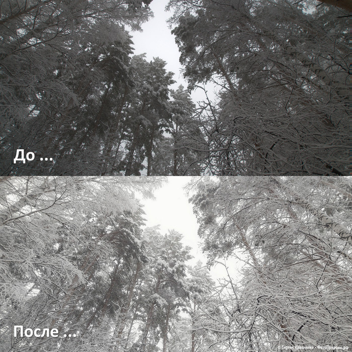 До-После: «Зимняя природа - фото №112»