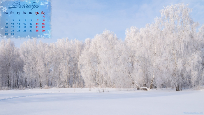 Календарь на декабрь 2019 - Зимний пейзаж, иней на берёзах