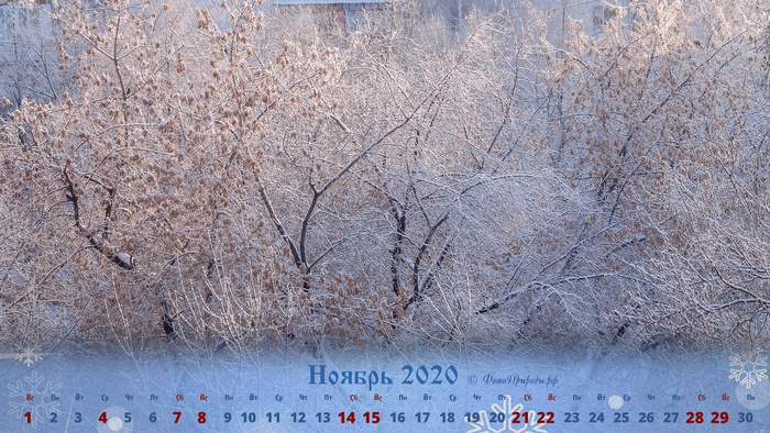 Календарь на ноябрь 2020 - Снег и иней на деревьях в Томске