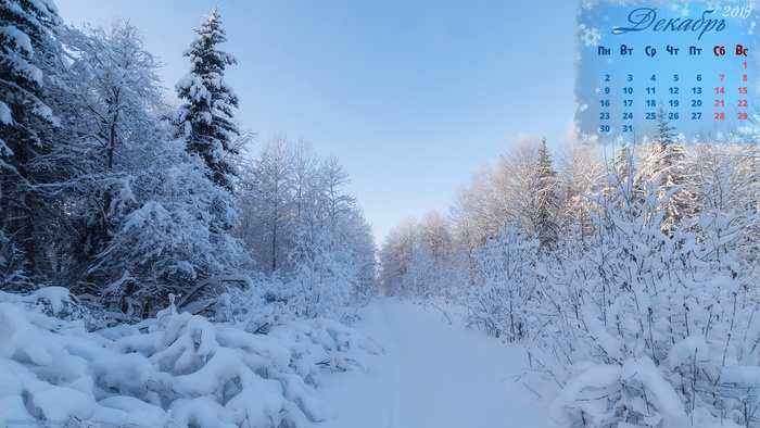 Календарь на декабрь 2019 - Лыжня в зимнем лесу