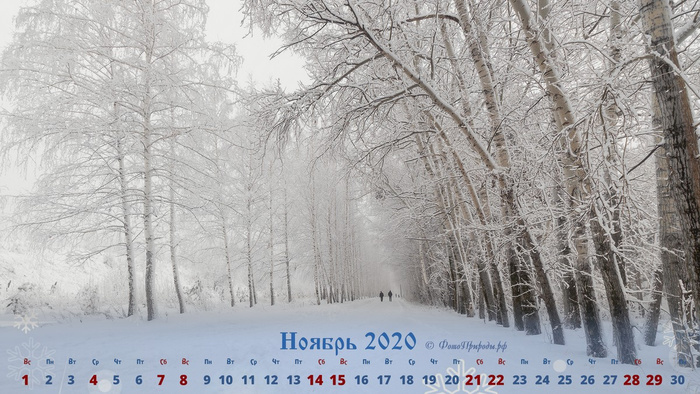 Календарь на ноябрь 2020 - Зимняя беговая дорожка в лесу