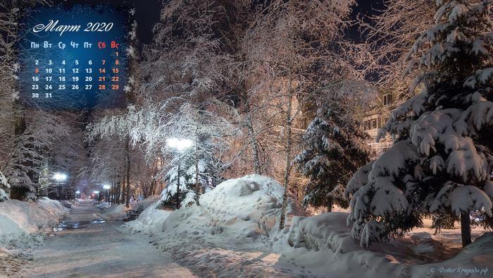 Календарь на март 2020 - Белоснежные деревья ночью в Томске