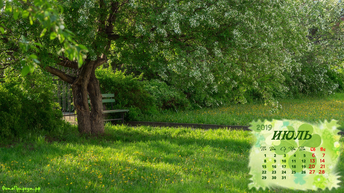 Календарь: «Скамейка возле дерева в парке»